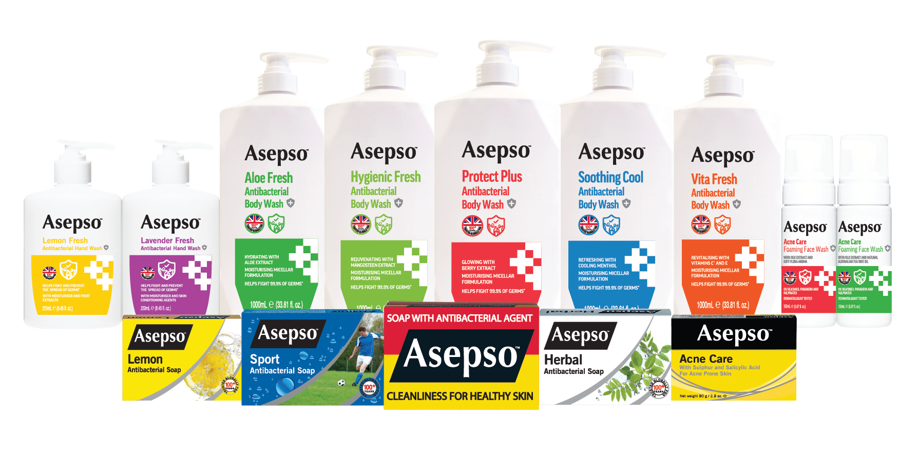 Asepso+group+shot
